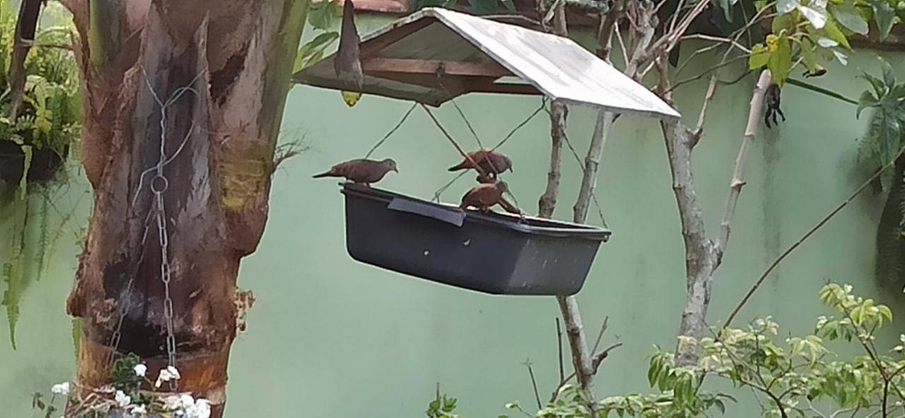 Villa Espaco Aconchego Com Ar-Condicionado E Amplo Jardim Caraguatatuba Exterior foto