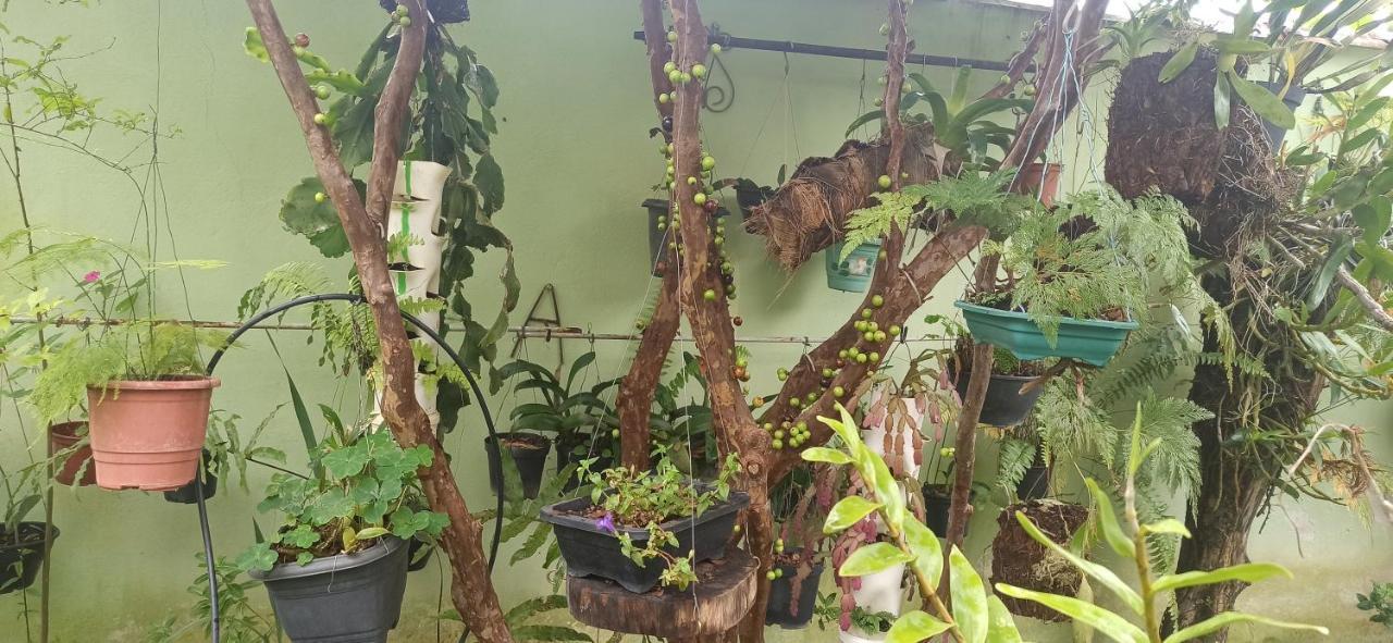 Villa Espaco Aconchego Com Ar-Condicionado E Amplo Jardim Caraguatatuba Exterior foto